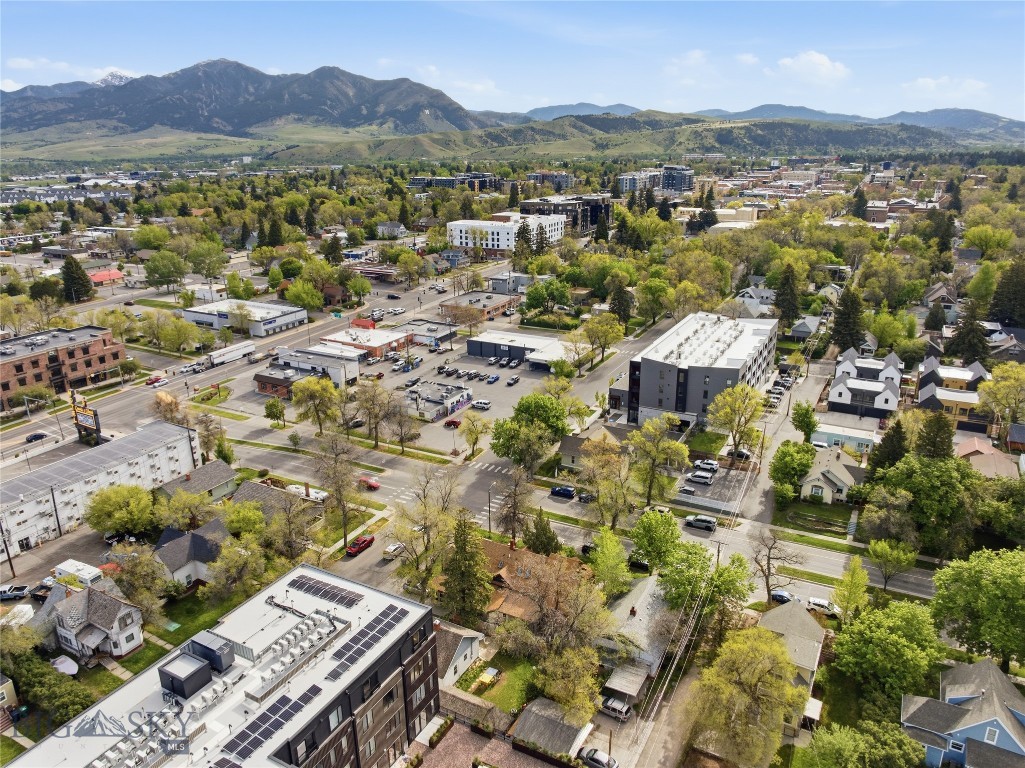 103 S 8th Avenue, Bozeman MT 59715