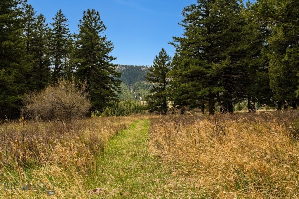 455 Harrison Meadow, Bozeman MT 59715