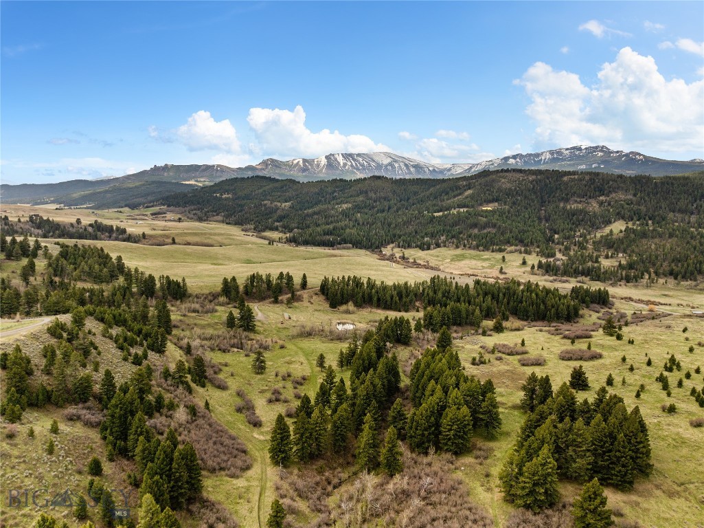 455 Harrison Meadow, Bozeman MT 59715