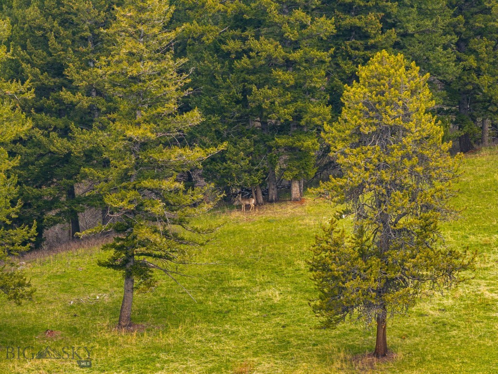 455 Harrison Meadow, Bozeman MT 59715