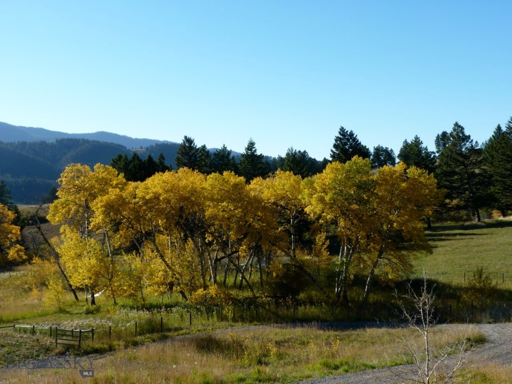 455 Harrison Meadow, Bozeman MT 59715