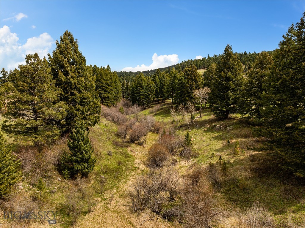 455 Harrison Meadow, Bozeman MT 59715