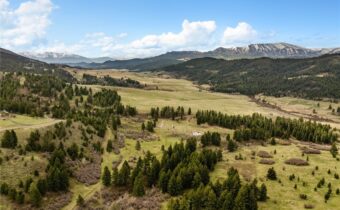 455 Harrison Meadow, Bozeman MT 59715