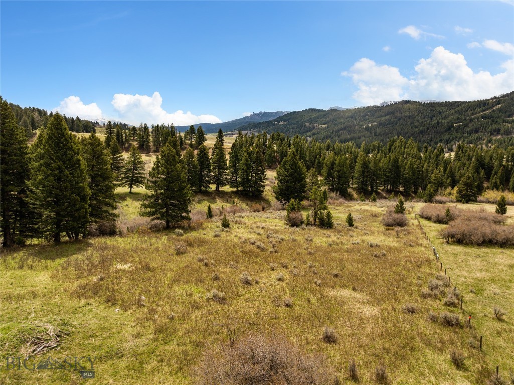 455 Harrison Meadow, Bozeman MT 59715