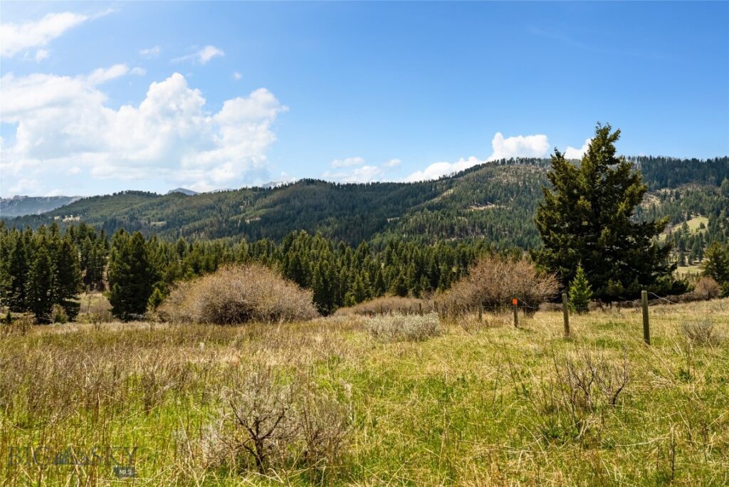 455 Harrison Meadow, Bozeman MT 59715