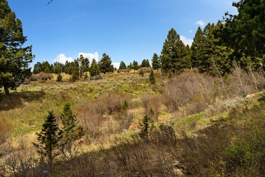 455 Harrison Meadow, Bozeman MT 59715