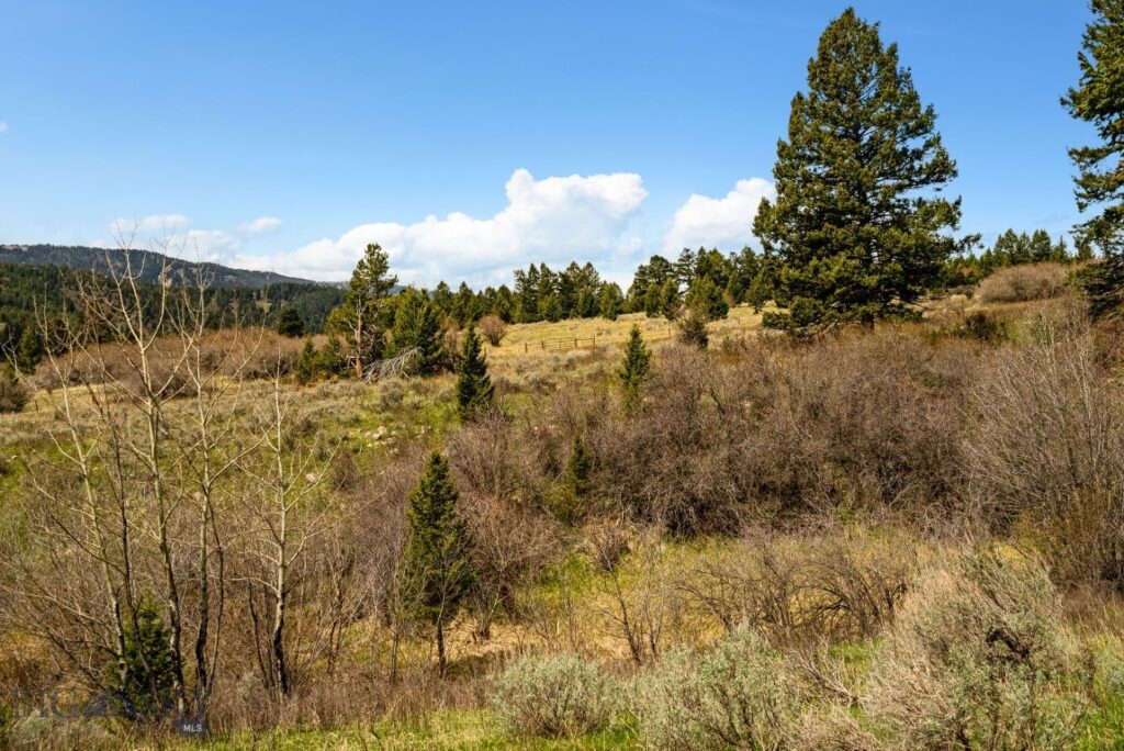 455 Harrison Meadow, Bozeman MT 59715