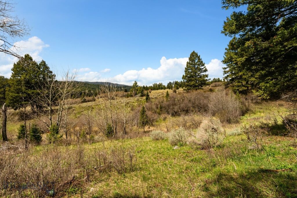 455 Harrison Meadow, Bozeman MT 59715