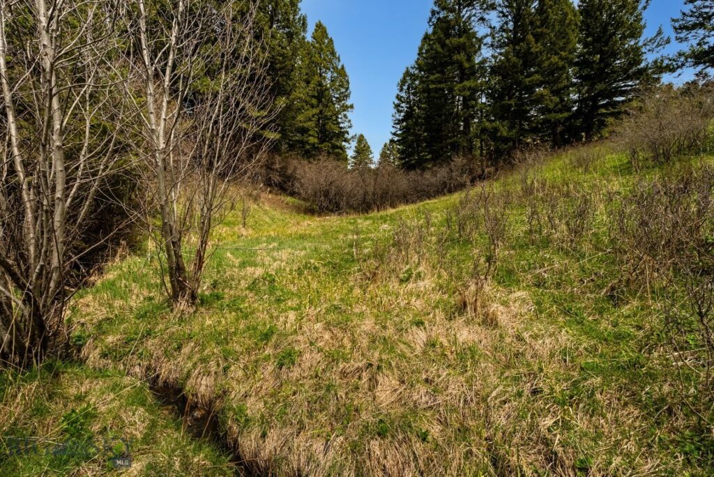 455 Harrison Meadow, Bozeman MT 59715