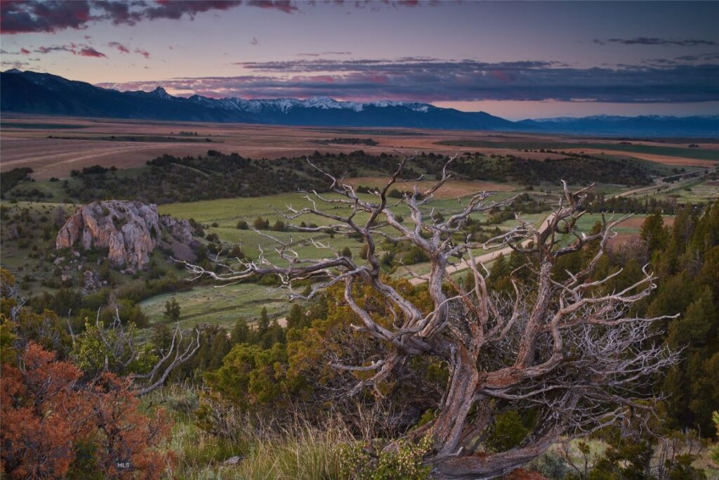 TBD Skinner Road, Belgrade MT 59714