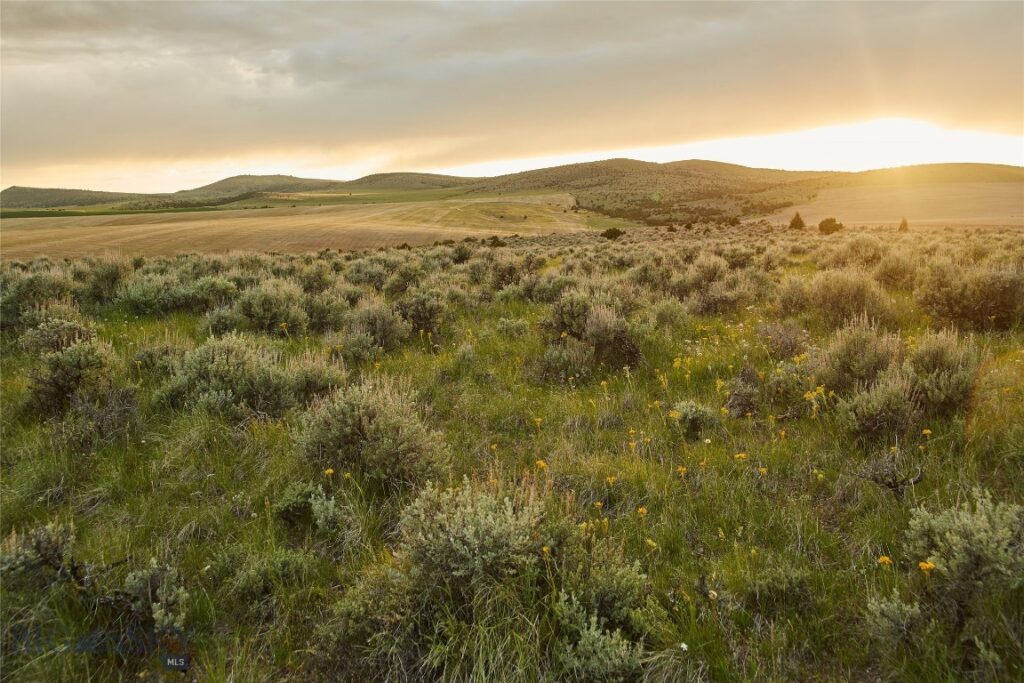 TBD Skinner Road, Belgrade MT 59714