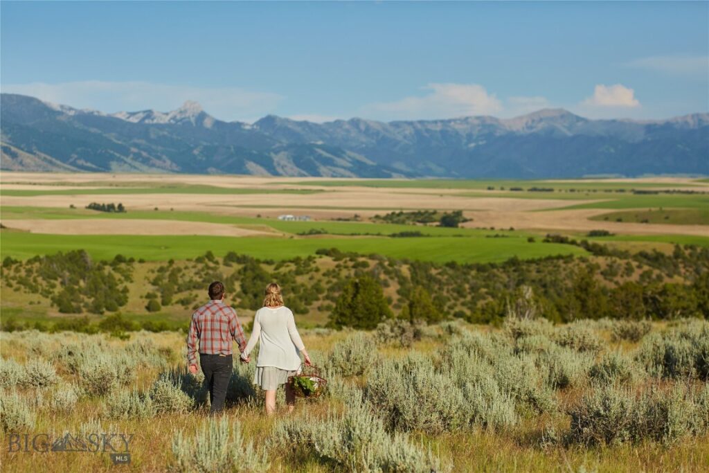 TBD Skinner Road, Belgrade MT 59714
