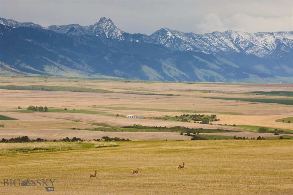 TBD Skinner Road, Belgrade MT 59714