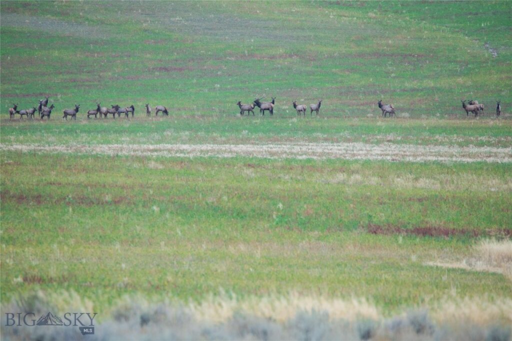 TBD Skinner Rd, Belgrade MT 59714