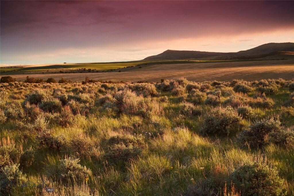 TBD Skinner Rd, Belgrade MT 59714
