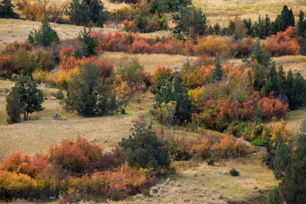 TBD Skinner Rd, Belgrade MT 59714