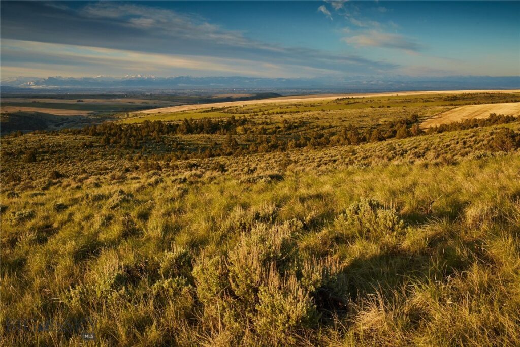 TBD Skinner Rd, Belgrade MT 59714