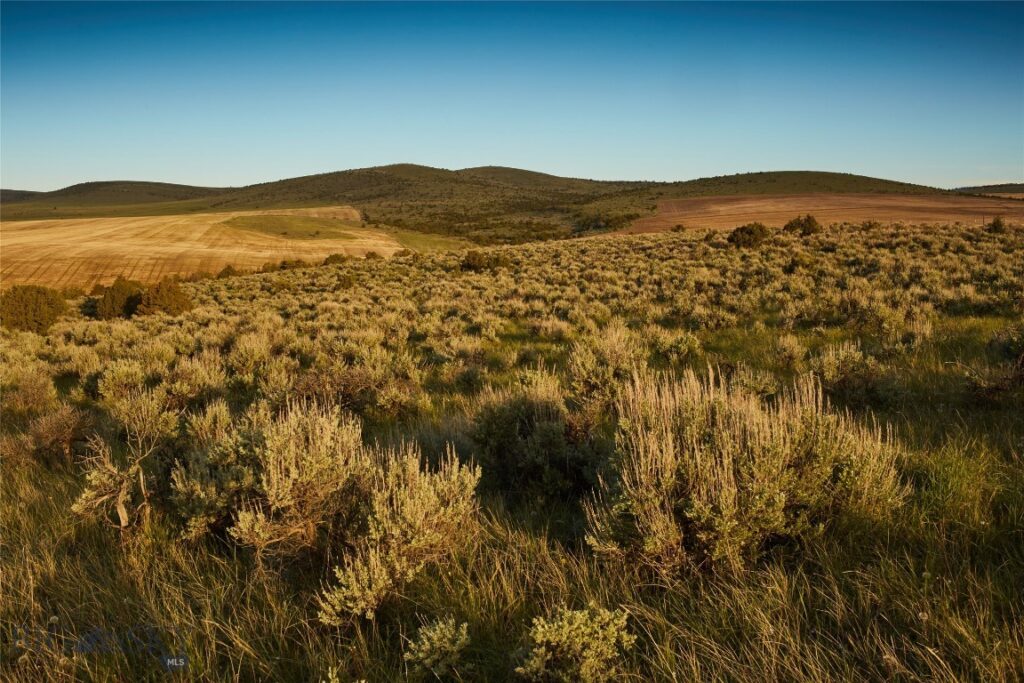 TBD Skinner Rd, Belgrade MT 59714