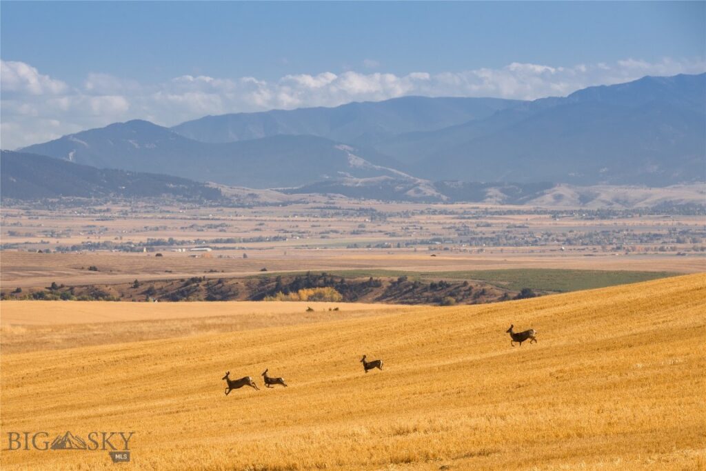 TBD Skinner Road, Belgrade MT 59714