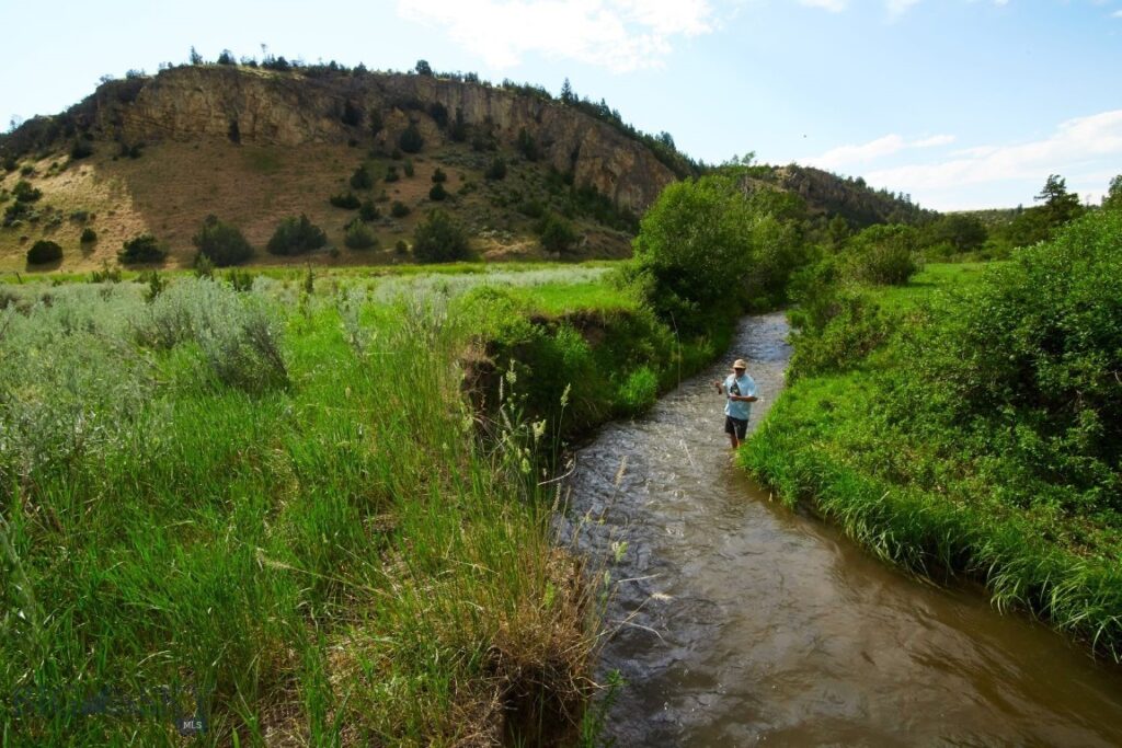 TBD Skinner Road, Belgrade MT 59714