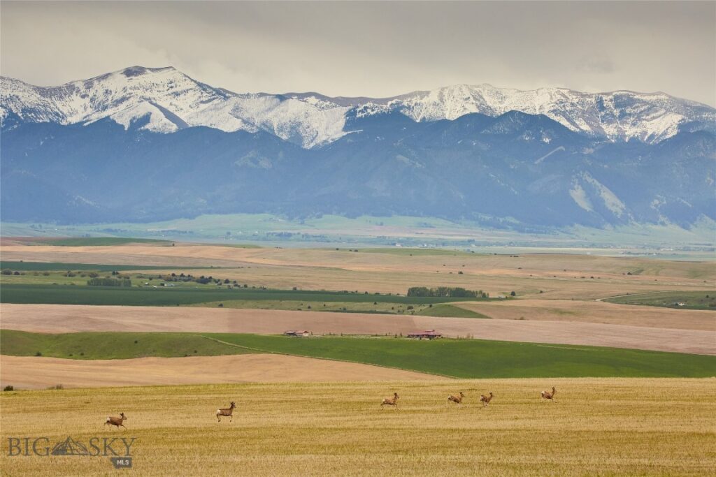 TBD Skinner Road, Belgrade MT 59714