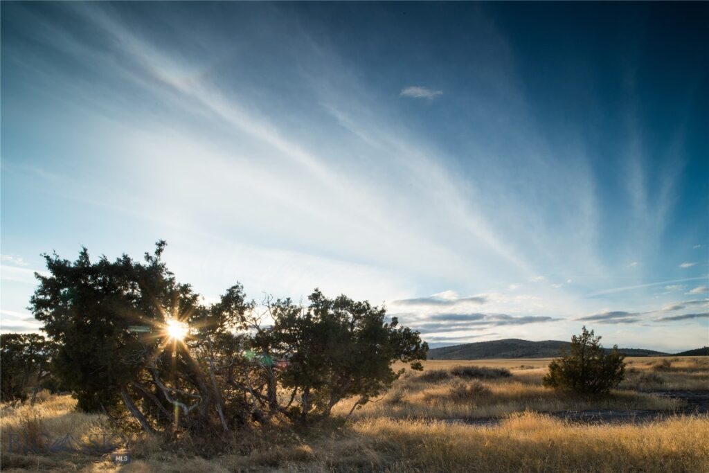 TBD Skinner Road, Belgrade MT 59714