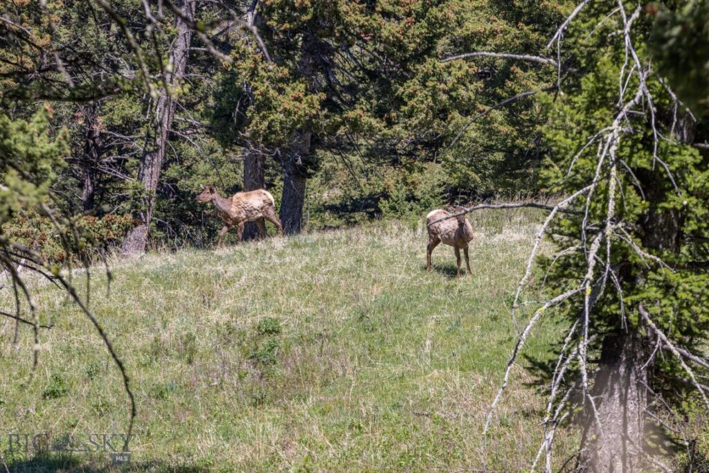 15 AC Elk Ridge Road, Livingston MT 59047