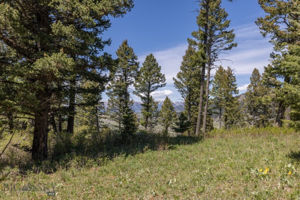 15 AC Elk Ridge Road, Livingston MT 59047