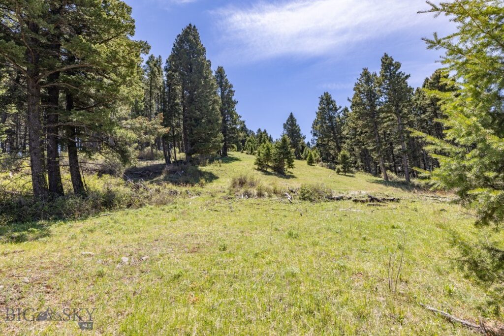 15 AC Elk Ridge Road, Livingston MT 59047
