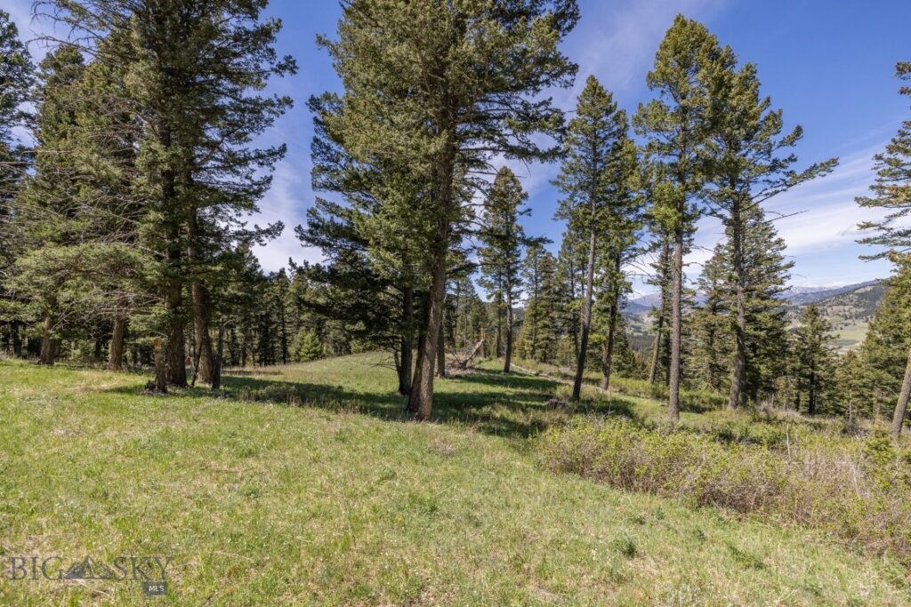 15 AC Elk Ridge Road, Livingston MT 59047