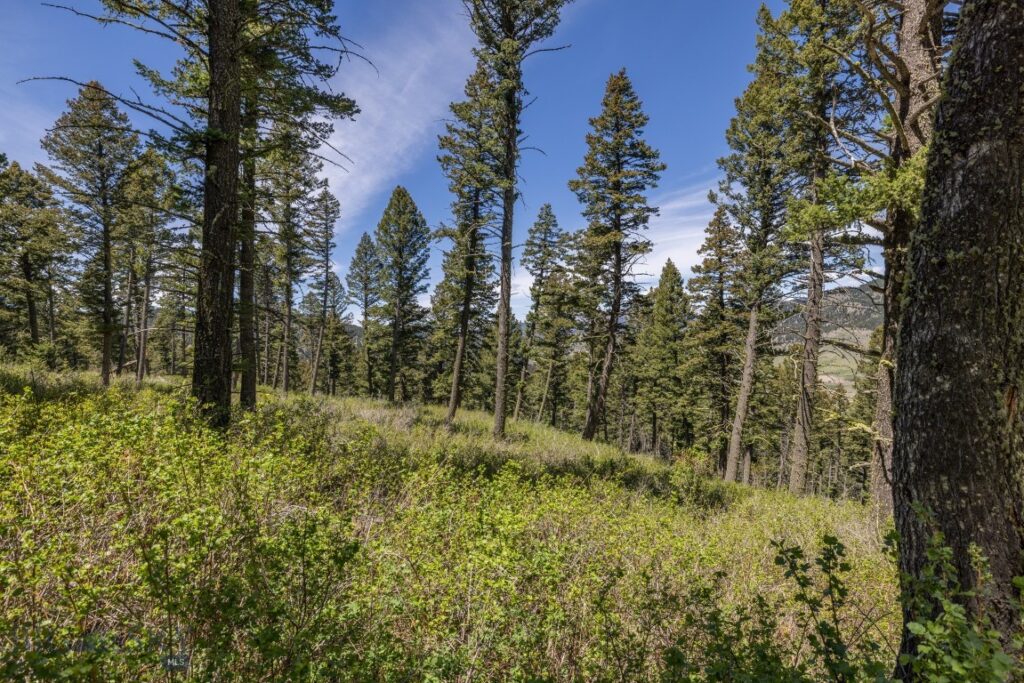 15 AC Elk Ridge Road, Livingston MT 59047