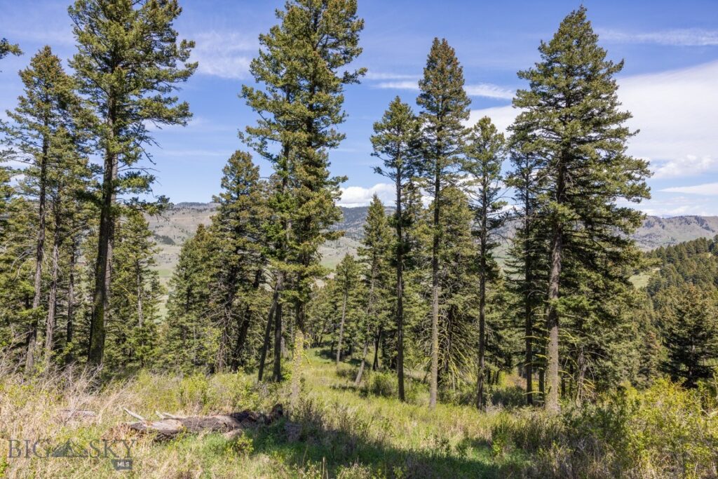 15 AC Elk Ridge Road, Livingston MT 59047