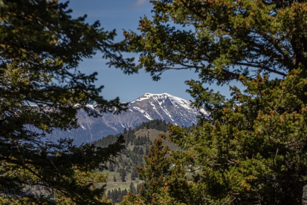 15 AC Elk Ridge Road, Livingston MT 59047