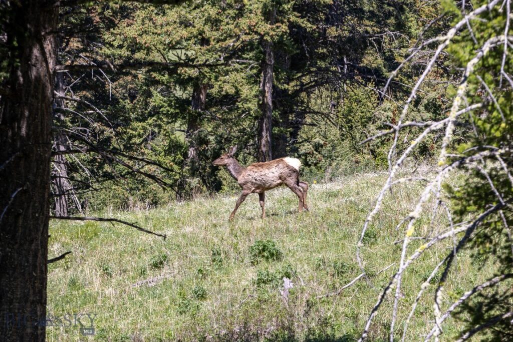 15 AC Elk Ridge Road, Livingston MT 59047