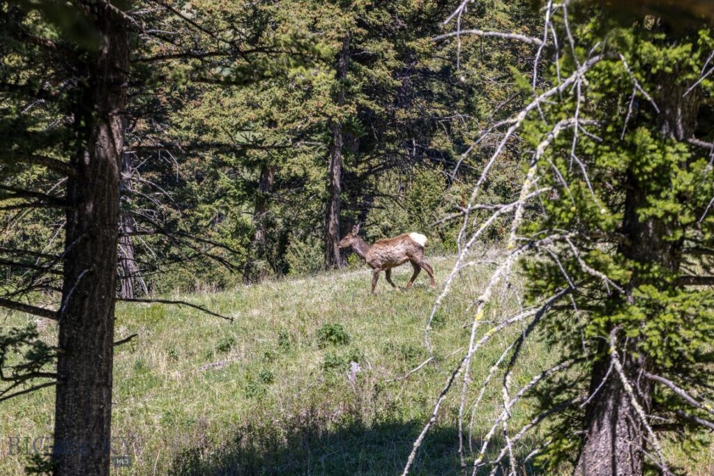 15 AC Elk Ridge Road, Livingston MT 59047