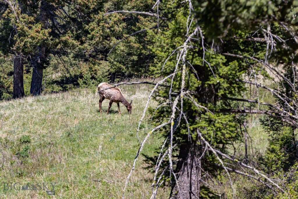 15 AC Elk Ridge Road, Livingston MT 59047