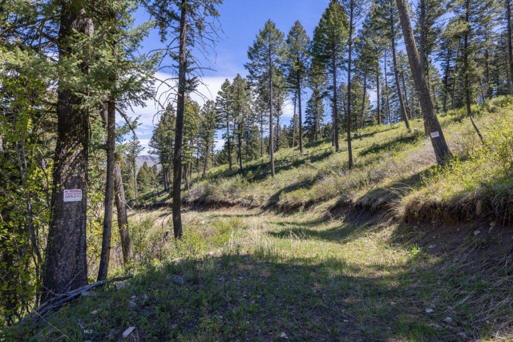 15 AC Elk Ridge Road, Livingston MT 59047