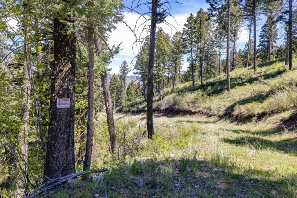 15 AC Elk Ridge Road, Livingston MT 59047