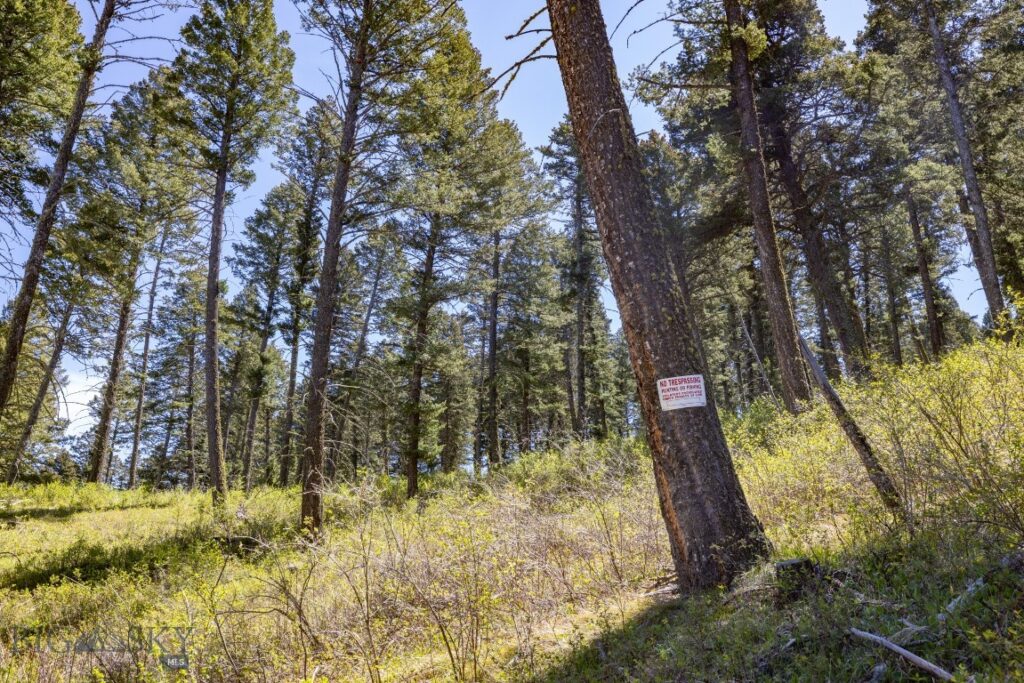 15 AC Elk Ridge Road, Livingston MT 59047