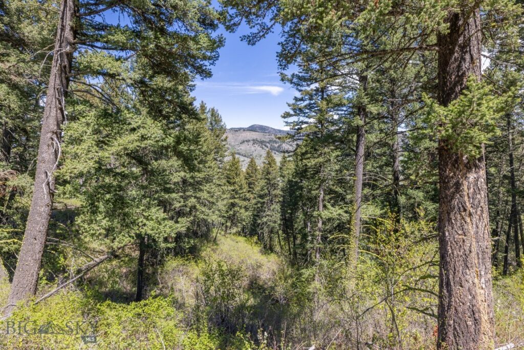 15 AC Elk Ridge Road, Livingston MT 59047