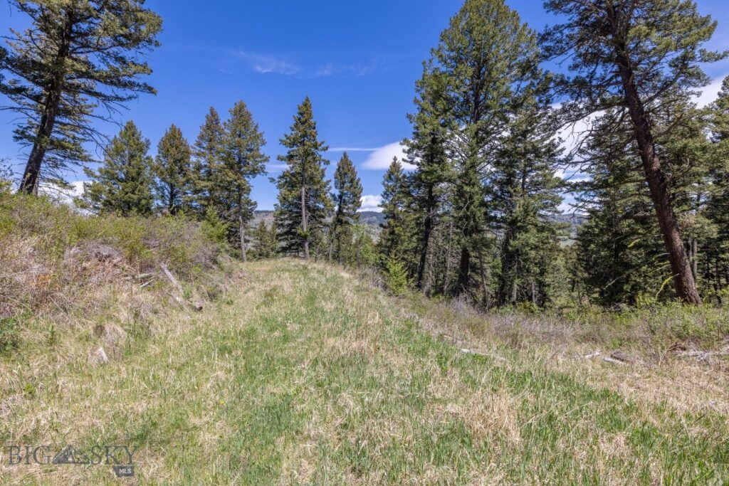 15 AC Elk Ridge Road, Livingston MT 59047