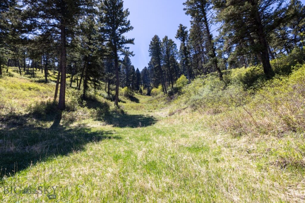 15 AC Elk Ridge Road, Livingston MT 59047
