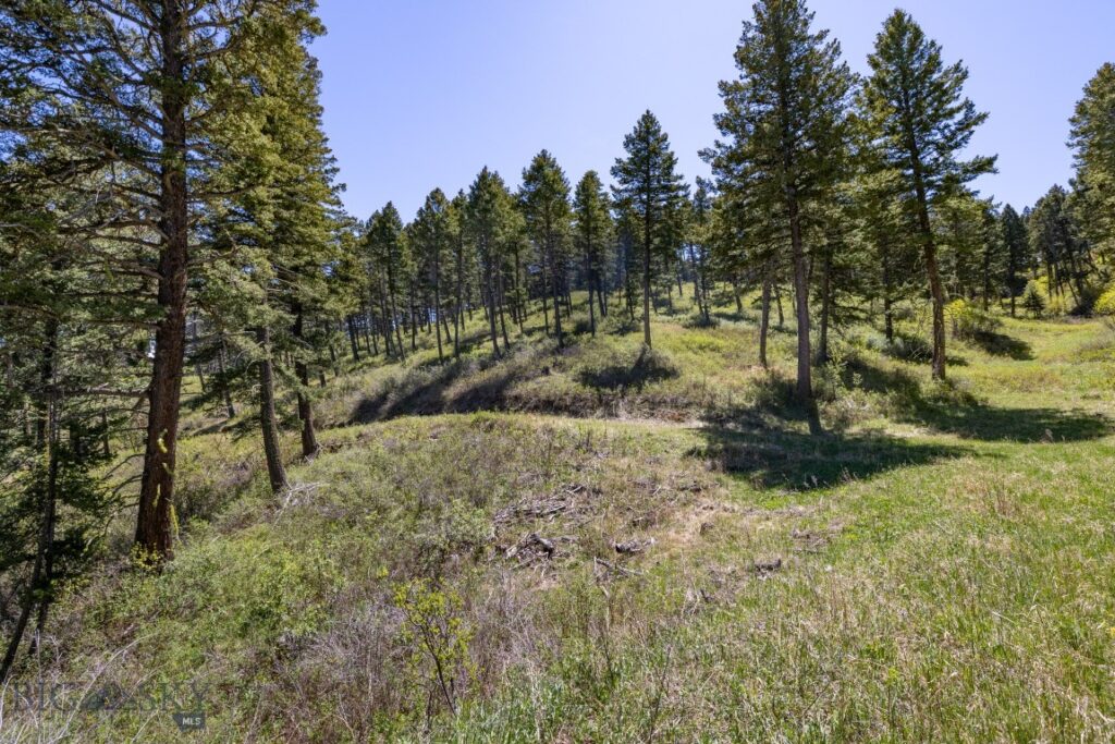 15 AC Elk Ridge Road, Livingston MT 59047