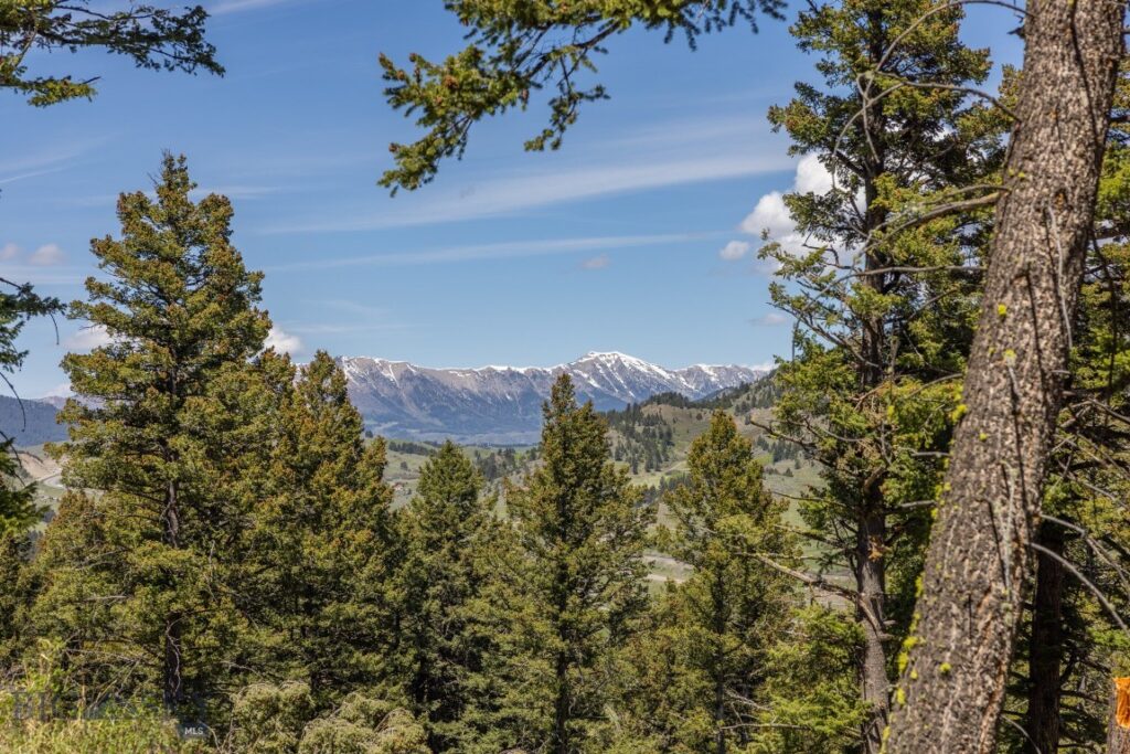 15 AC Elk Ridge Road, Livingston MT 59047