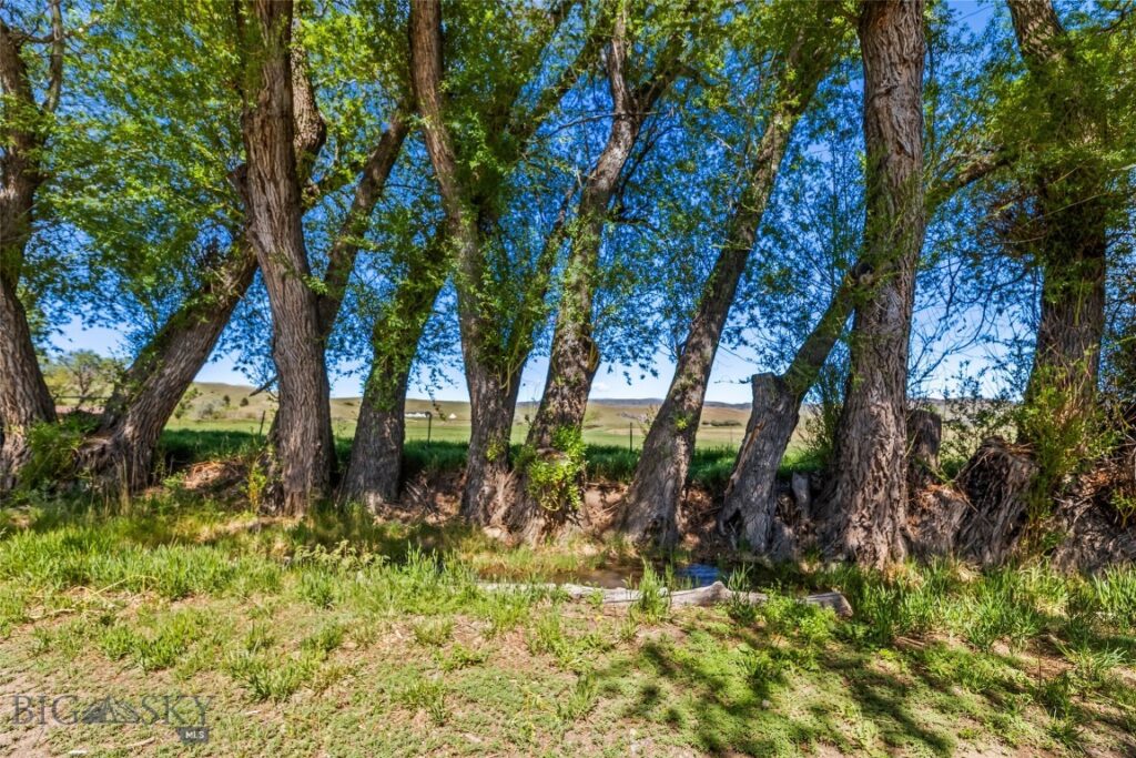 1301 Absaroka Court, Livingston MT 59047
