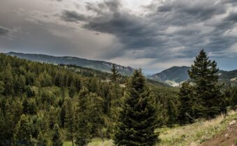 TBD Woodchuck Road, Bozeman MT 59715