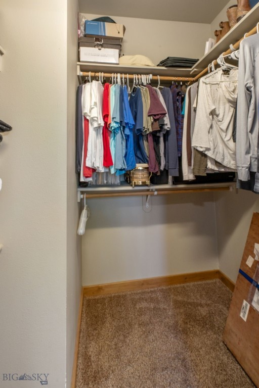 168 E Hyalite Peak Drive, Bozeman MT 59718