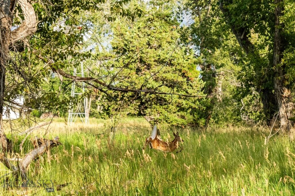 Lot 15 A TBD Riverway Road, Belgrade MT 59714
