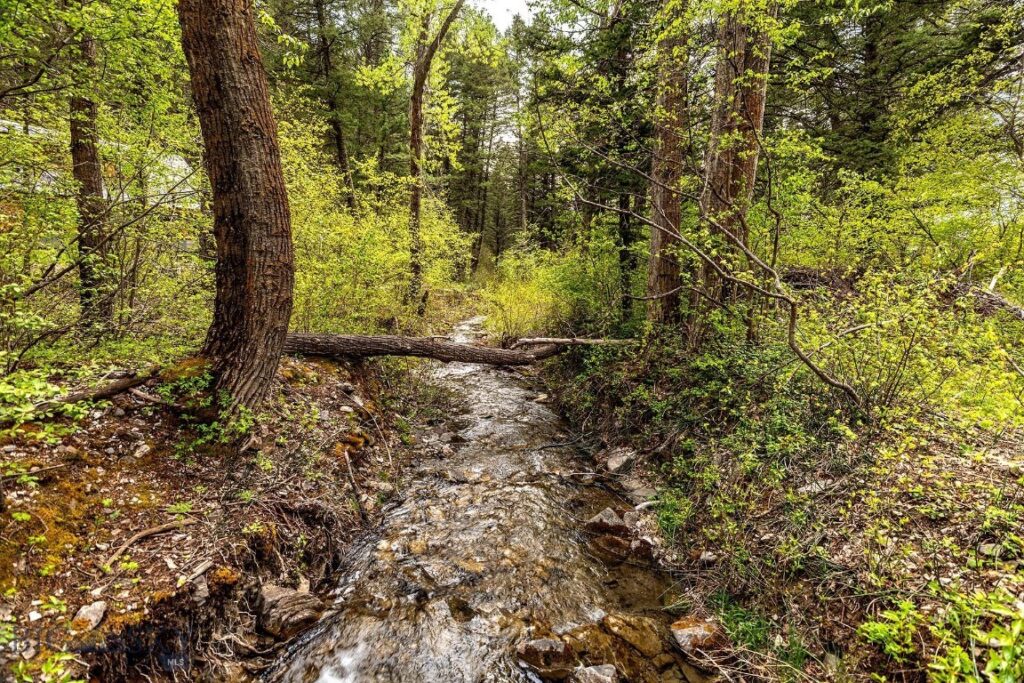 9440 Saddle Mountain Road, Bozeman MT 59715