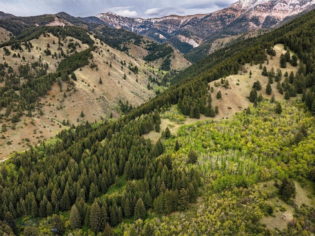 9440 Saddle Mountain Road, Bozeman MT 59715